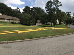 yellow pipes in Elkins Lake